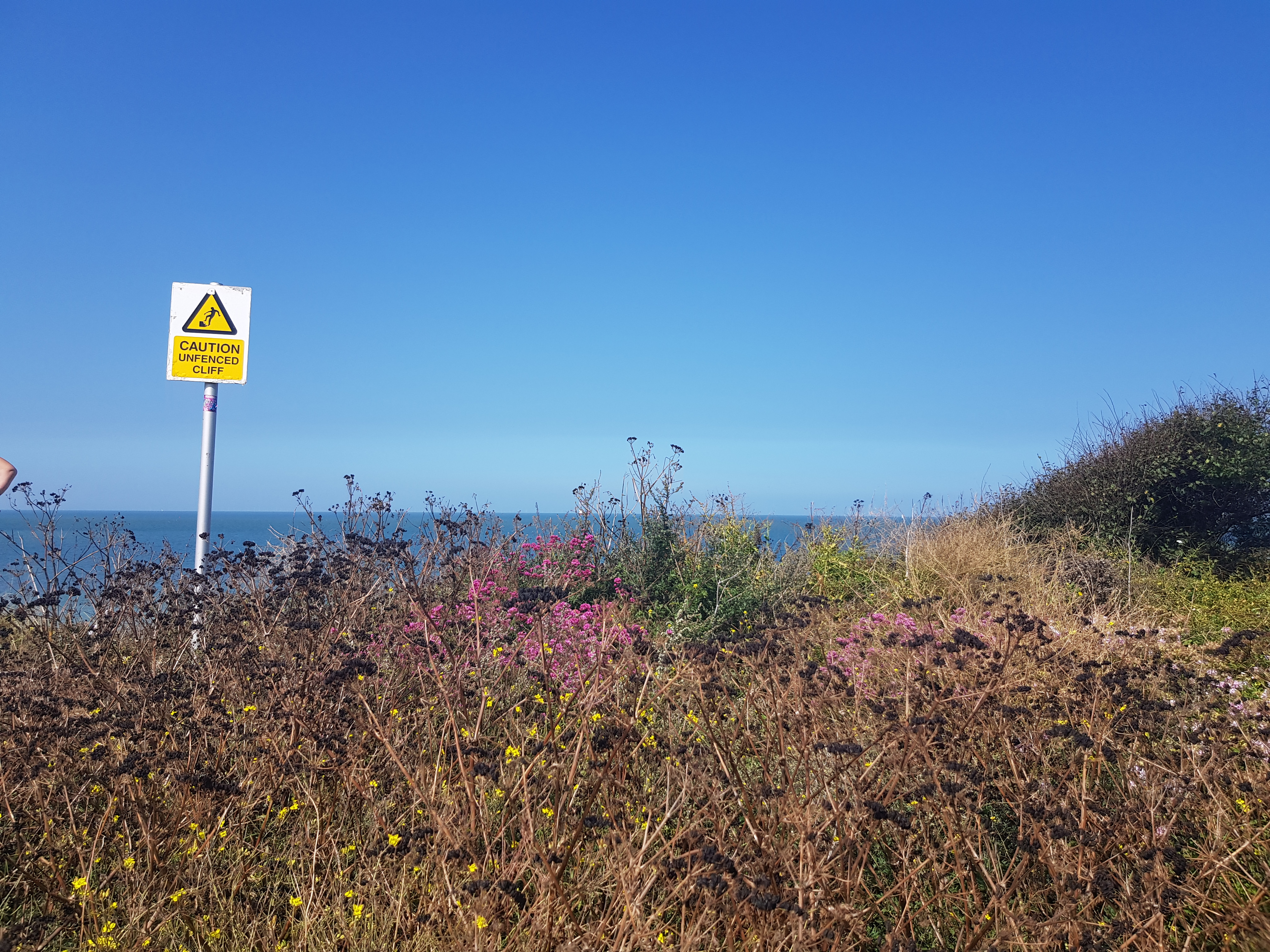 Beach View
